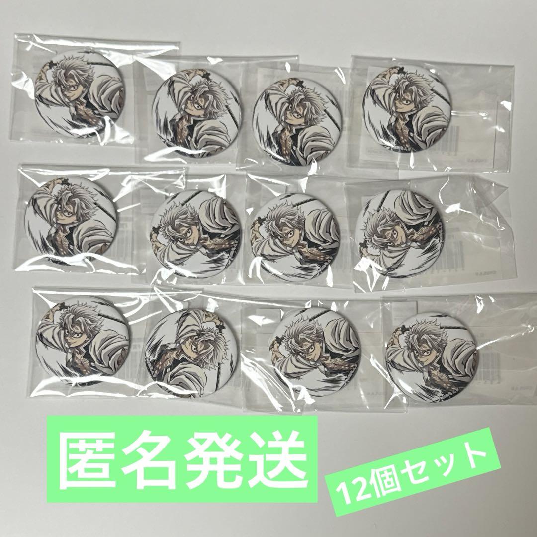 

[USED] Demon Slayer: Kimetsu no Yaiba Comiket c105 WEBSHOP lottery Shinazugawa Sanemi can badge set of 12 B