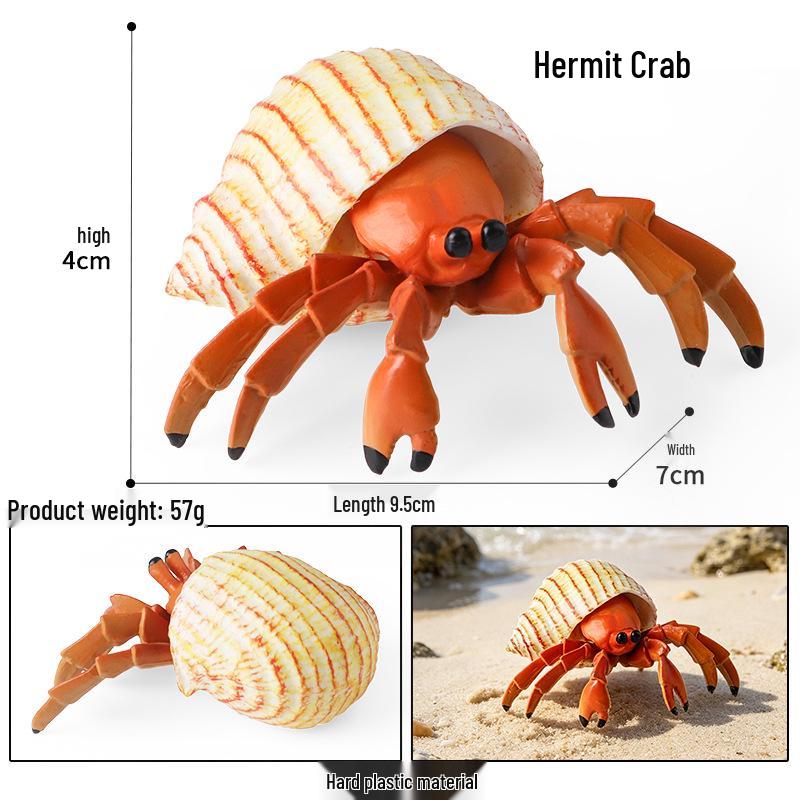 Ocean Crab Simulation Toy Set: Includes Hermit, Swimming, and Three-Spot Plastic Models