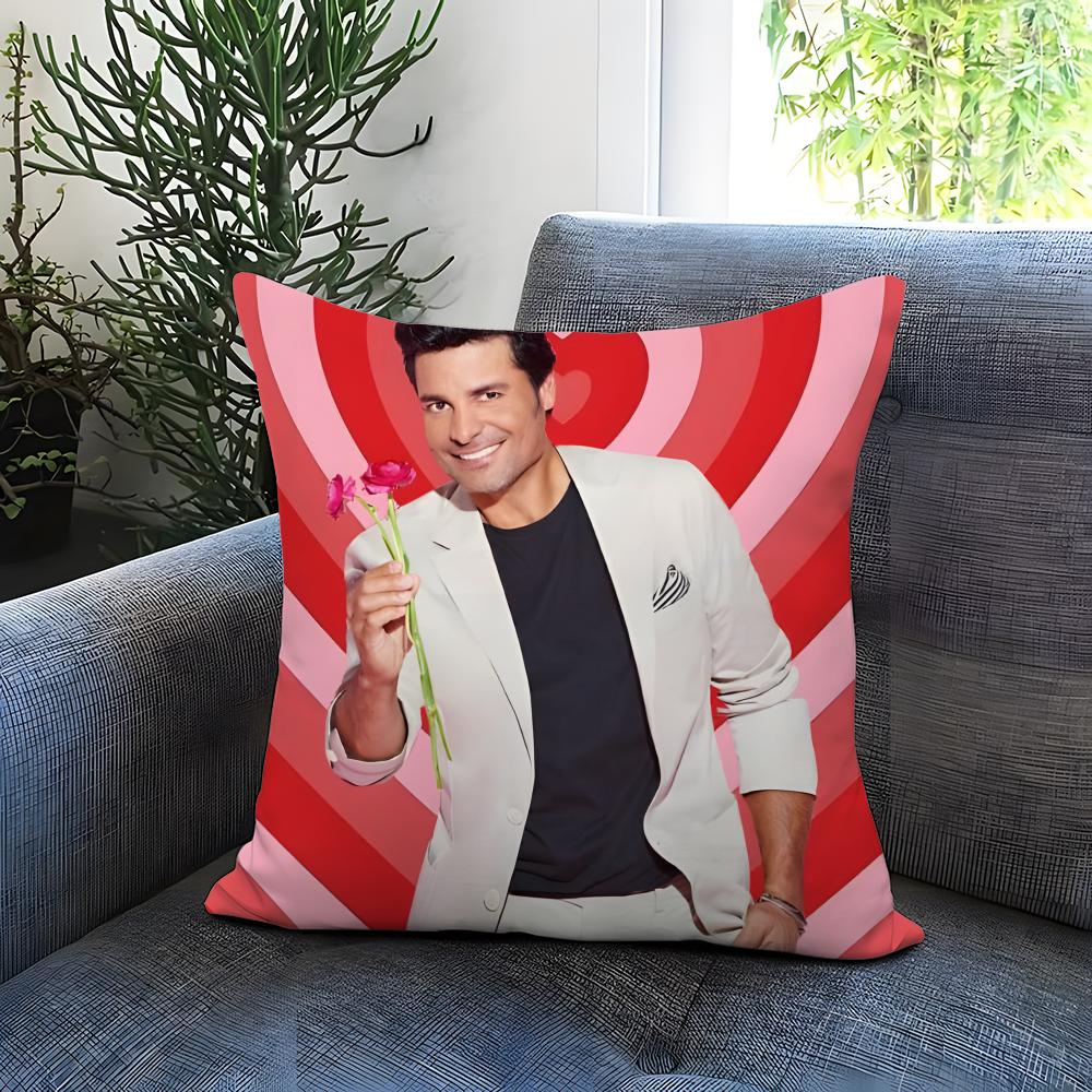 Fashion C-CChayanne Cushion Cover Comfortable Reversible Pillow Cover Ideal for Car Sofa Bedroom & Beyond