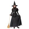 Halloweenský kostým Královna čarodějnic s čarodějnickým kloboukem a róbou