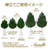 A&K Special Preserved Sakaki Trees (MV), Pair, Made In Japan, Medium Size, Approximately 34cm Tall X 14cm Wide, Maintains Beauty, No Water Changes