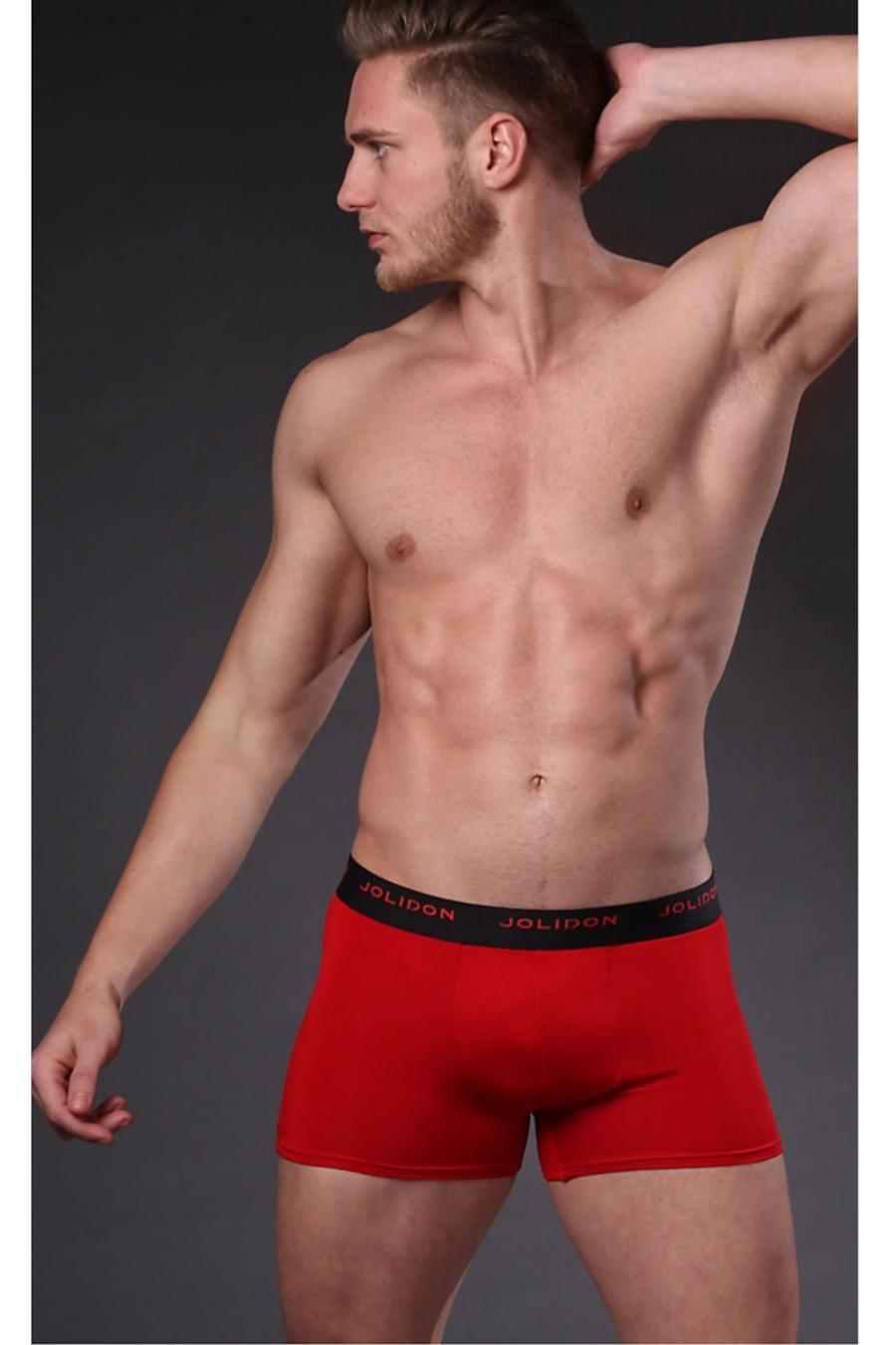 

Боксери труси Jolidon (50524) 52(XL) французький небо синє кольору
