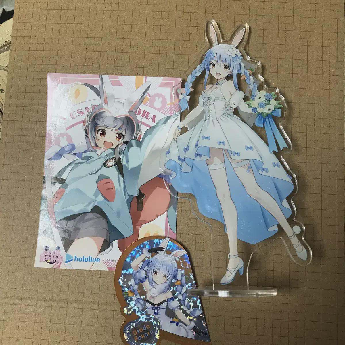 

3 Types Of Holo Usada Pecora [holo Live Holo Japan Pecora Holo Live Season 3
