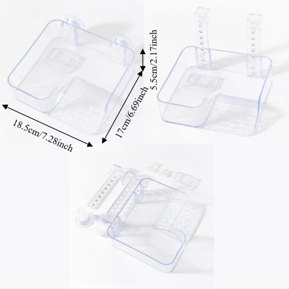 Transparent Tortoise Climbing Basking Platform Aquatic Turtles Terrace