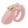 Penis Device Male Chastity Control Cock Lock Cage with Ring Sex Toy BDSM Prop sex toys for man great sex stimulation