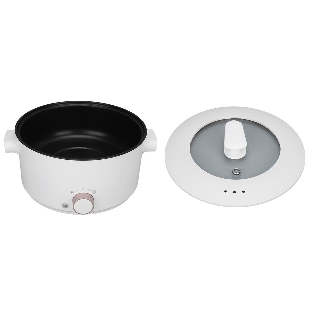 3L Electric Cooking Pot Mini Multifunctional Electric Cooker Dorm Studen Electric Frying Pan