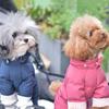 Warm Winter Pet Dog Cotton Coat Small Breeds Teddy Bichon S To XXL