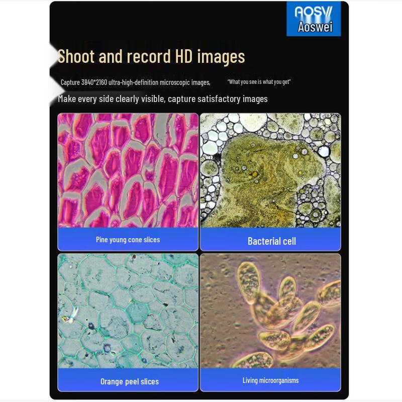 AOSVI Research-Grade Phase Contrast Biological Microscope