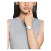 Skagen KLASSIK SKW2149 Women's Watch, Officially Imported