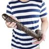 Realistic Dildo 43cm Small Dildo with Strong Suction Cup for Hand-Free Play Vagina G-spot Anal Simulate Adult Toys Woman