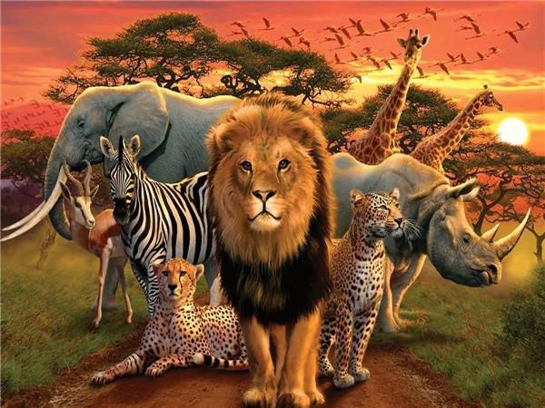 

5D DIY швейные принадлежности ручной работы полная квадратная пейзажная живопись Лев и слон круглая вышивка украшение дома Full Round 20x30CM