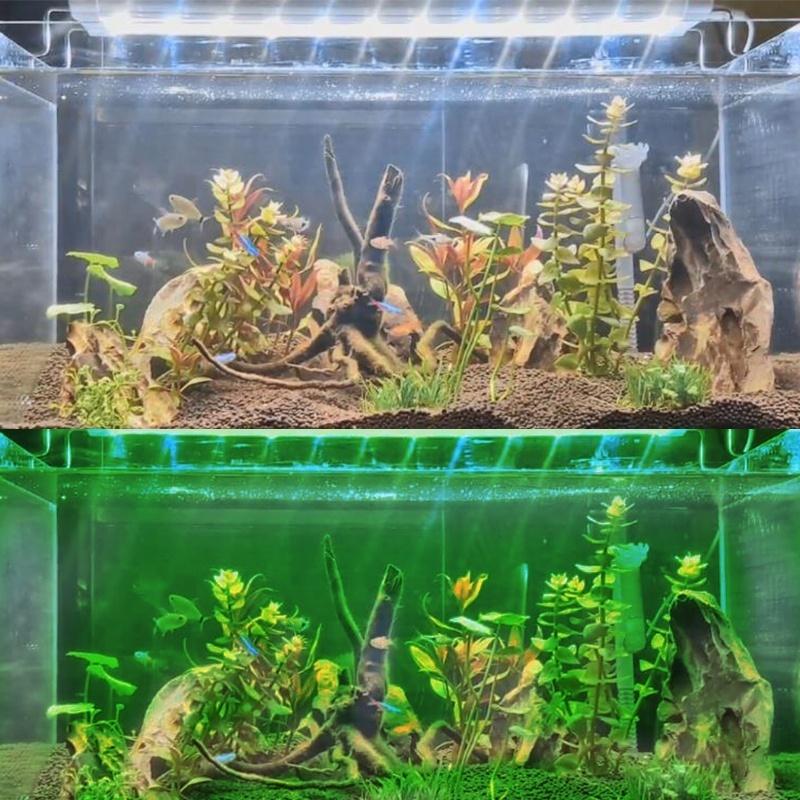 50 100 200cm Led Aquarium Fish Tank Light Plant Grow Decoration Lamp Diy Decorative Camping Lights At Affordable S Free Real Reviews With Photos Joom - Diy Aquarium Lights 50 100 200cm Led Aquarium Fish Tank Light Plant Grow Decoration Lamp Diy Decorative Camping Lights At Affordable S Free Real Reviews With Photos Joom - Diy Aquarium Lights