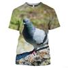 3D Printed Mouse Cheese Raccoon T-Shirt For Men Cartoon Animal Pattern Tees Summer Loose Round Neck Tops T Shirts Short Sleeves