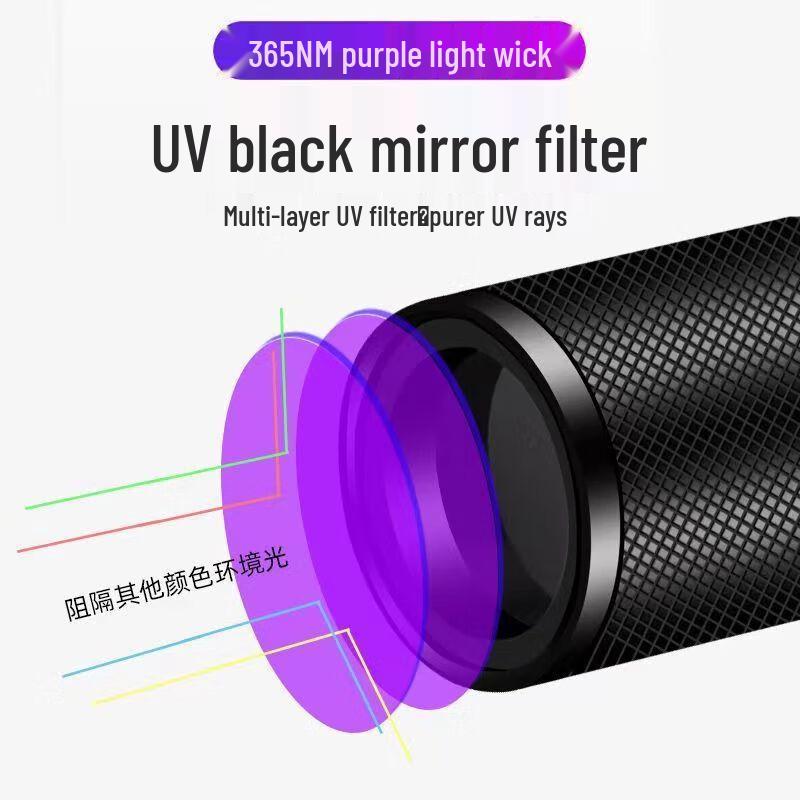Portable Rechargeable UV Blacklight Flashlight