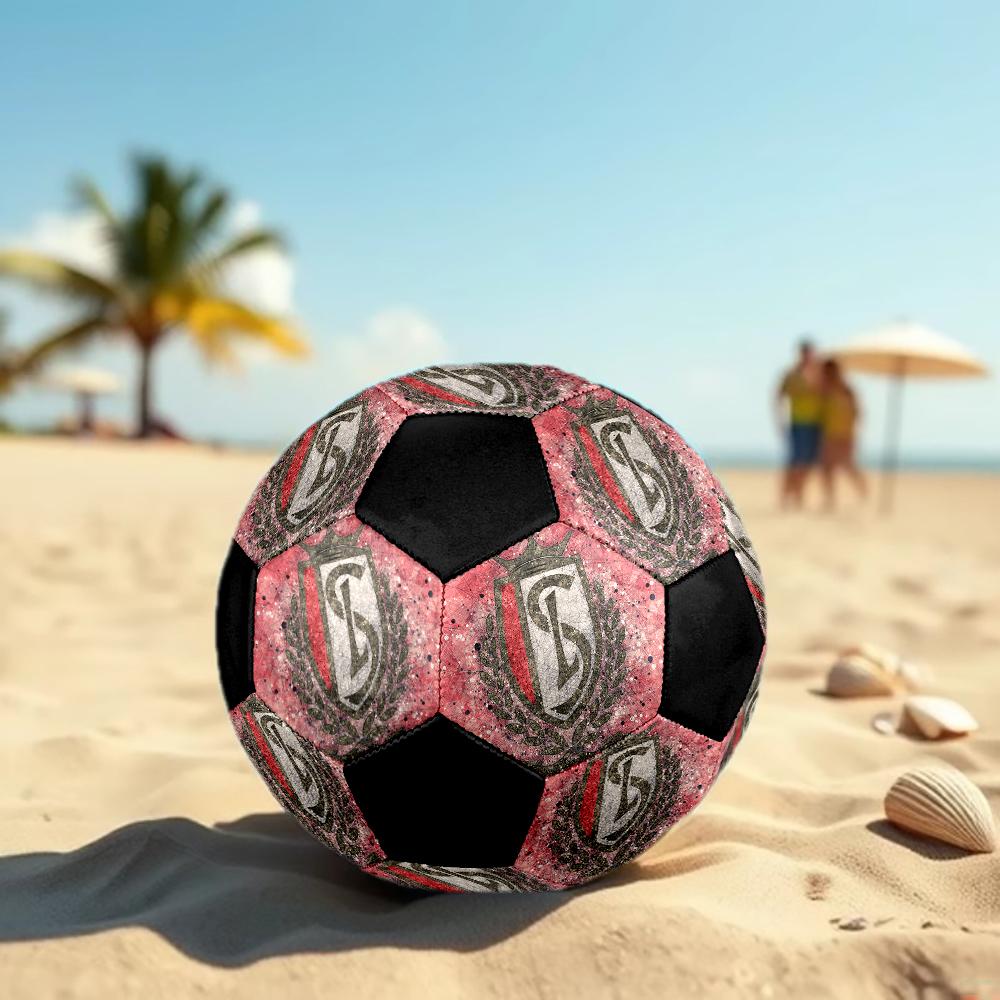 SIZE 5 Standard Liège Soccer Ball Colorful All Ages Machine Stitched PVC Competition Ready Durable High-Bounce