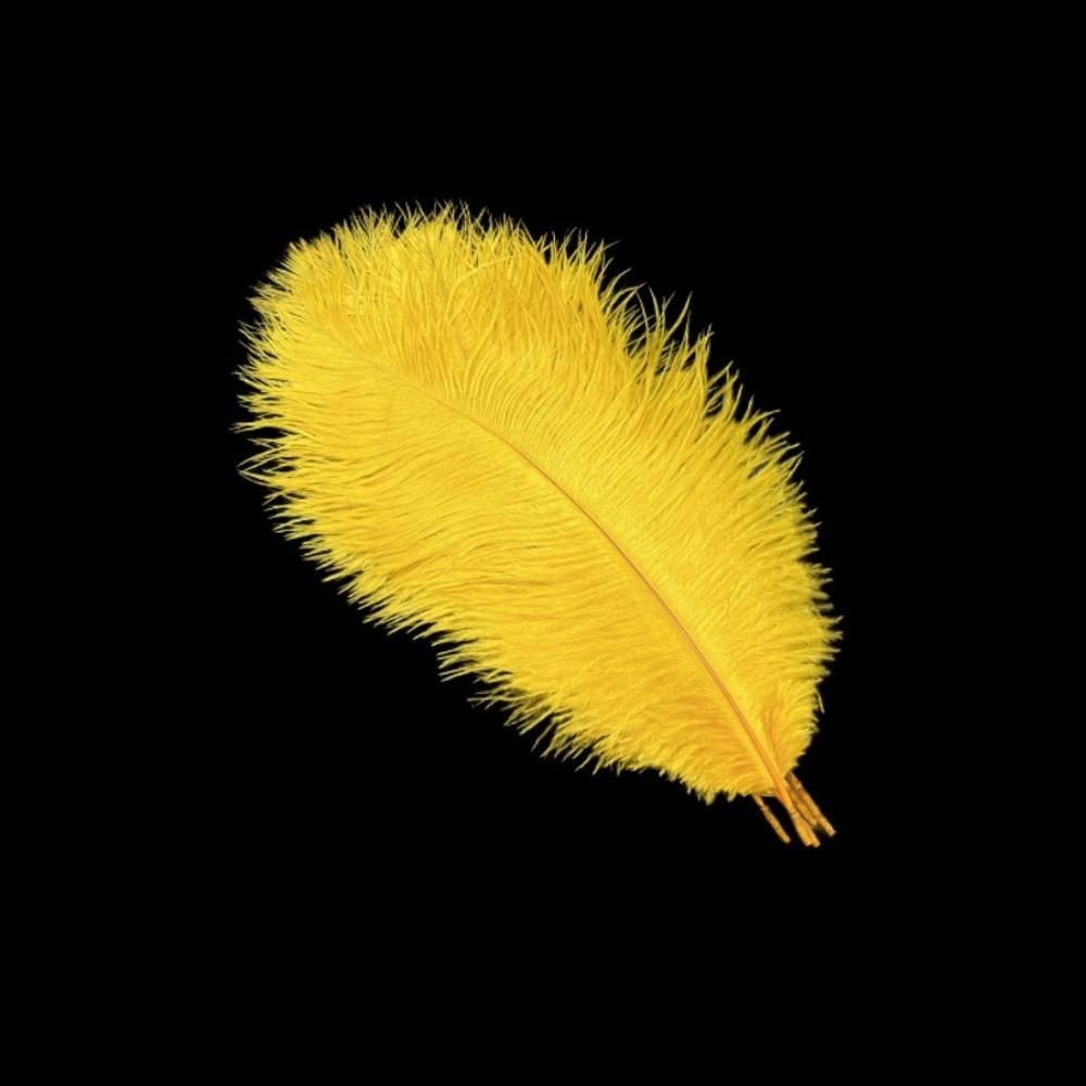 10Pcs Stage Props Ostrich Feathers 15-20cm Colored Ostrich Feathers  Home Decoration