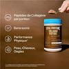 Vital Proteins Peptides de Collagène - Saveur Cacao - 297 g
