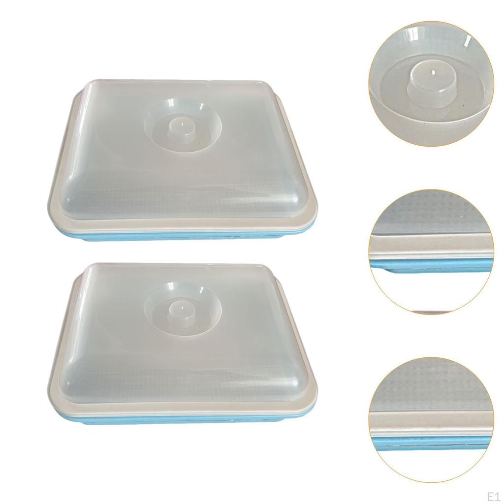 Seed Sprouting Trays for Plant Growth