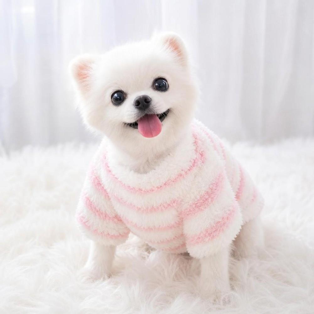Winter Dog Hiking Jacket Stripes Dog Bodysuit Fashion Plush Dogs Coat for Small Medium Dog