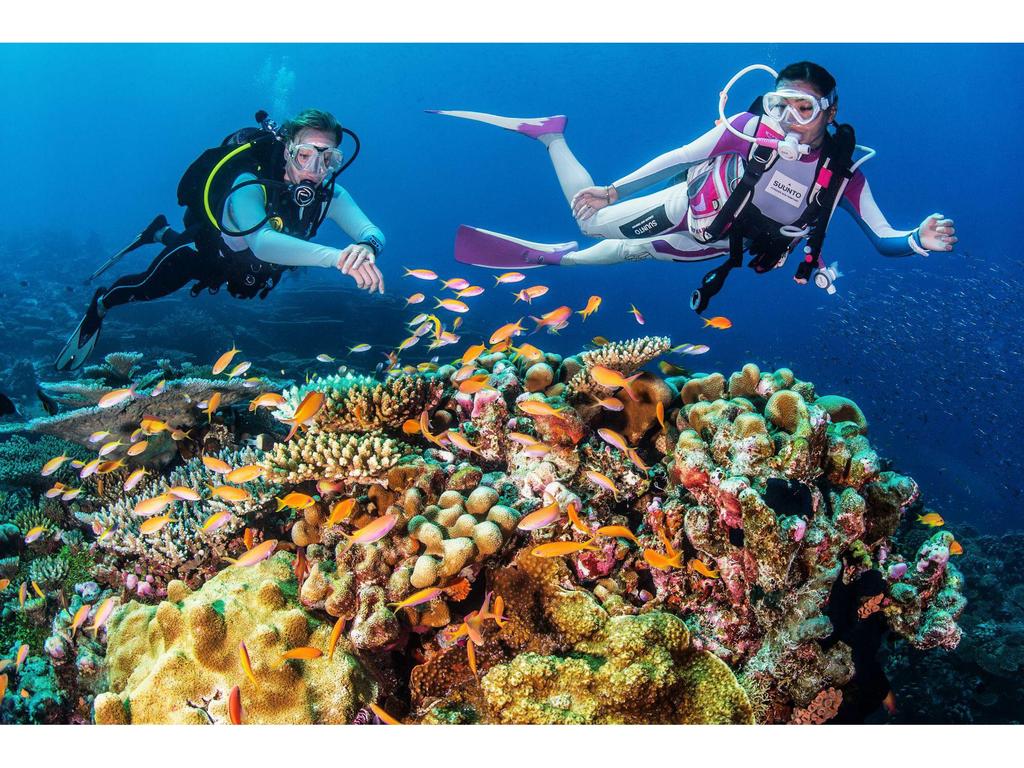 3mm Unisex Slim Diving and Snorkeling Suit: Sunscreen and Jellyfish Protection