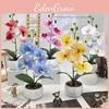 Flower Bonsai Phalaenopsis Desk Decor For Home Office Wedding Decoration