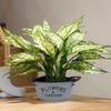 4pcs Stylish Iron Planter Pots with Letter Handmade Decorative Flower Bucket Floral Arrangement Containers for Home