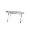 Silver Ellipse Silver Metal Leg Center Table