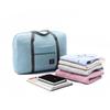 Portable Folding Travel Storage Bag for Trolleys and Clothing (Large)