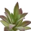 Mini Artificial Succulent Plant in Decorative Pots Stylish Accent Piece