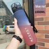 Gradient Frosted Summer Sports Water Bottle – Large Capacity, High-Temperature Resistant, Drop-Proof, with Tea Infuser.
