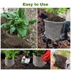 Stainless Steel Plant Root Guard Basket Garden Protection Mesh Bags Fruit Plant Root Gopher Voles Cage Wire Mesh Pest Repellent