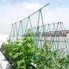 Cucumber Trellis For Raised Bed Arched Metal Trellis Raised Bed Vegetable Support Frame Gardening Grow Support Frame For Tomato