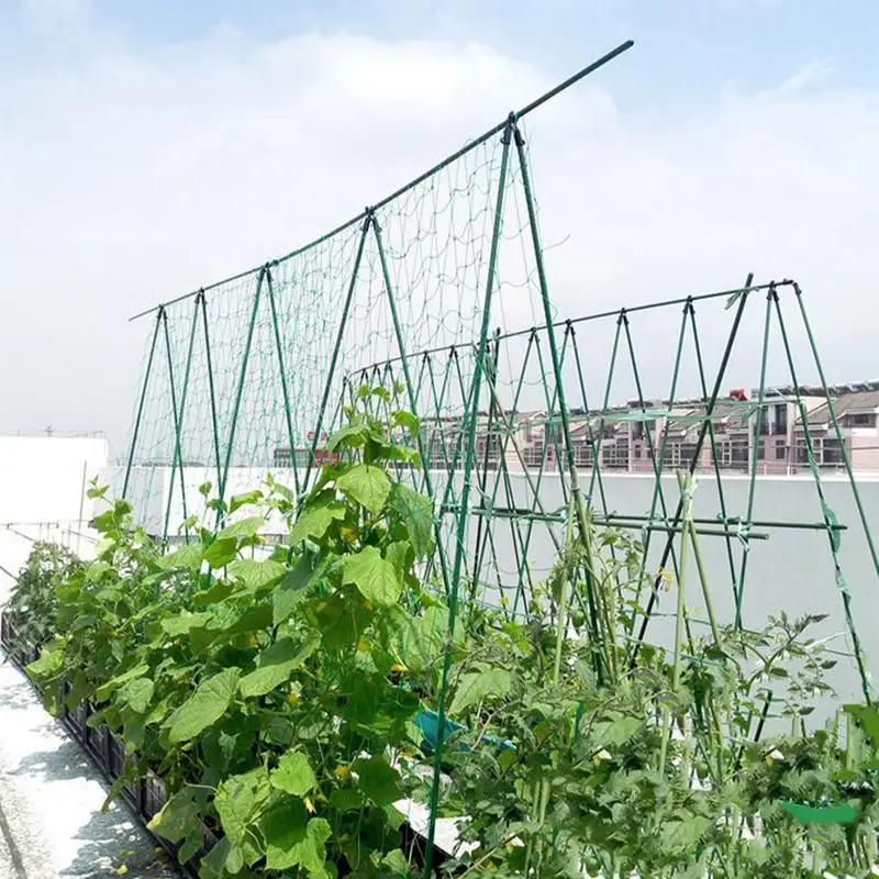 Cucumber Trellis For Raised Bed Arched Metal Trellis Raised Bed Vegetable Support Frame Gardening Grow Support Frame For Tomato