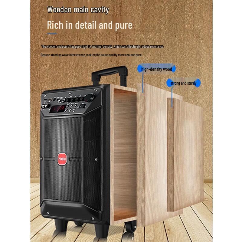 Malata M+9086 8-inch Portable Bluetooth Karaoke Speaker CN plug (adapter included)