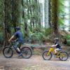 Pull Rope Cycling Tow Rope Elastic Strap MTB Trailer Rope Bicycle Traction Rope  Mountain Bike
