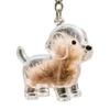 Dog Hair Collector Keychain Dog Shape Charm Keychain Memorial Storage Box Transparent Pet Fur Keepsake Capsule Memorial Gift for Pet Lovers