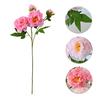 Real Touch Artificial Peony Flower Faux Silk Peony with Long Stem for Valentine's Day Floral Arrangement Wedding Party Home Kitchen Vase Decor
