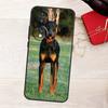 Doberman Dog Case For Honor Magic 8 5 6 7 Lite 50 70 90 200 400 Pro X8b X8c X9a X9b X9c X9d Win RT Cover