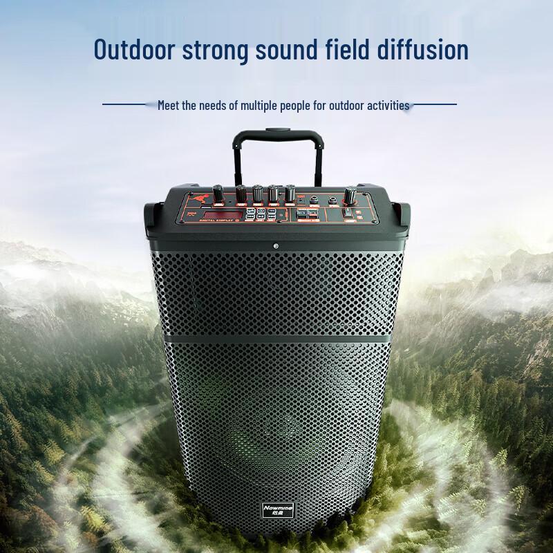 Newmine N520 12-inch Portable Outdoor Karaoke Trolley Speaker