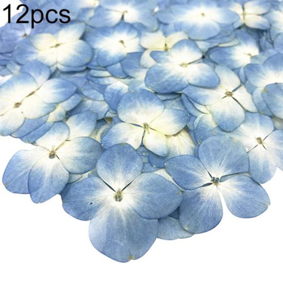 12Pcs Pressed Dried Epoxy Flower Plant Specimen Decor Resin Phone DIY