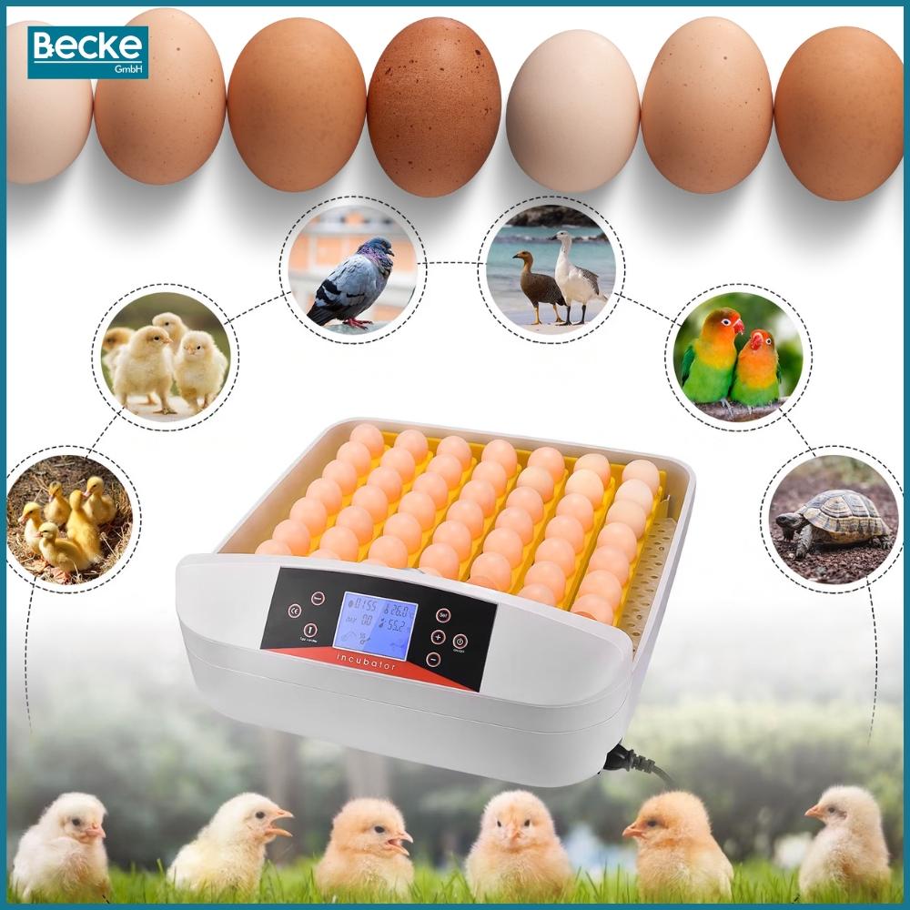 Egg incubator automatic hatcher hatchery poultry breeding ovoscope 56