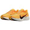 Nike Pegasus Plus LV8 Modern Mayfly Pack Unisex Sneakers Yellow University-Gold Black IH3258-700