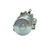 AP0294800 Starter Motor for TYPHOON125/RS125