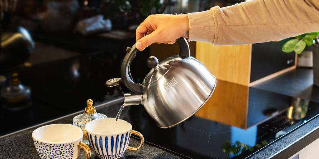 Teesa stainless steel kettle with whistle 2L gas induction