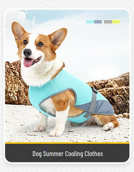 Breathable Anti-Shedding Four-Legged Pet Outfit for Small & Medium Dogs