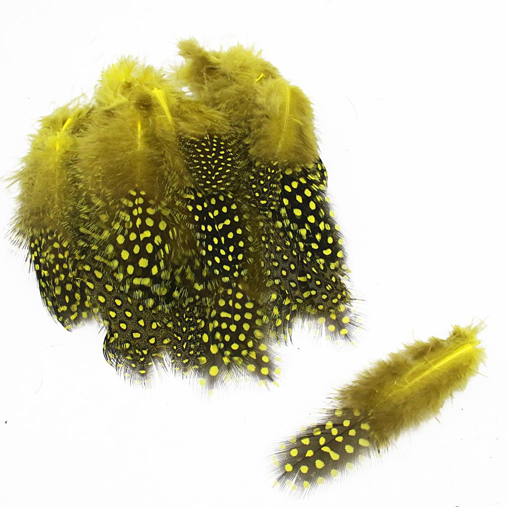FeatherYellow Feathers for Crafts, 31 Styles Natural Pheasant, Rooster, Duck Feathers Bulk for Costume DIY, Fly Tying,Party Decoration