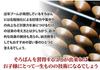 Tomoe Abacus with Case, 4 Beads, 23 Digits, Red Abacus Case, FG3352
