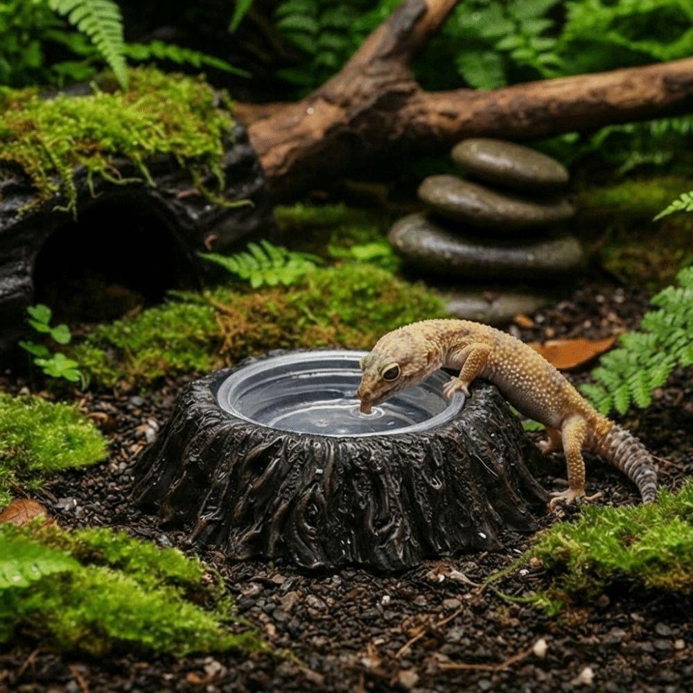 Anti-knock Reptile Food Bowl Imitation Stone Amphibians Water Bowl  Pet Habitat