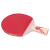 Double Happiness Hurricane Ma Long GM03 Penhold Table Tennis Racket