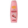 Gels Douche Gel Douche FRUITS DES BOIS 650 Ml